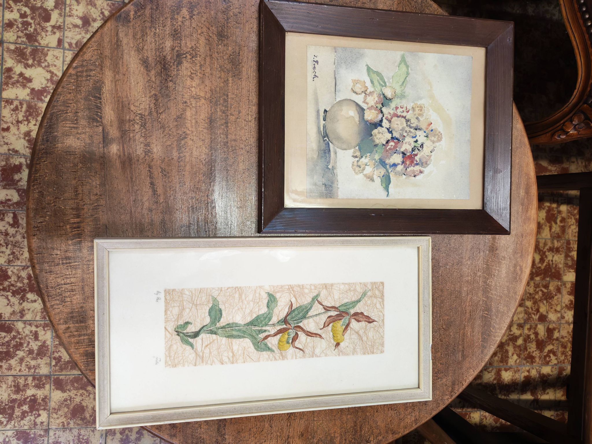 Set of two vintage flower illustrations