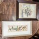 Set of two vintage flower illustrations