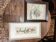 Set of two vintage flower illustrations