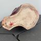 Poët Laval ceramic zoomorphic pelican pitcher