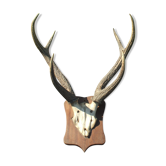 Slaughter of deer on coat of arms