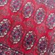 Carpet designs bukhara in wool 70x144 cm