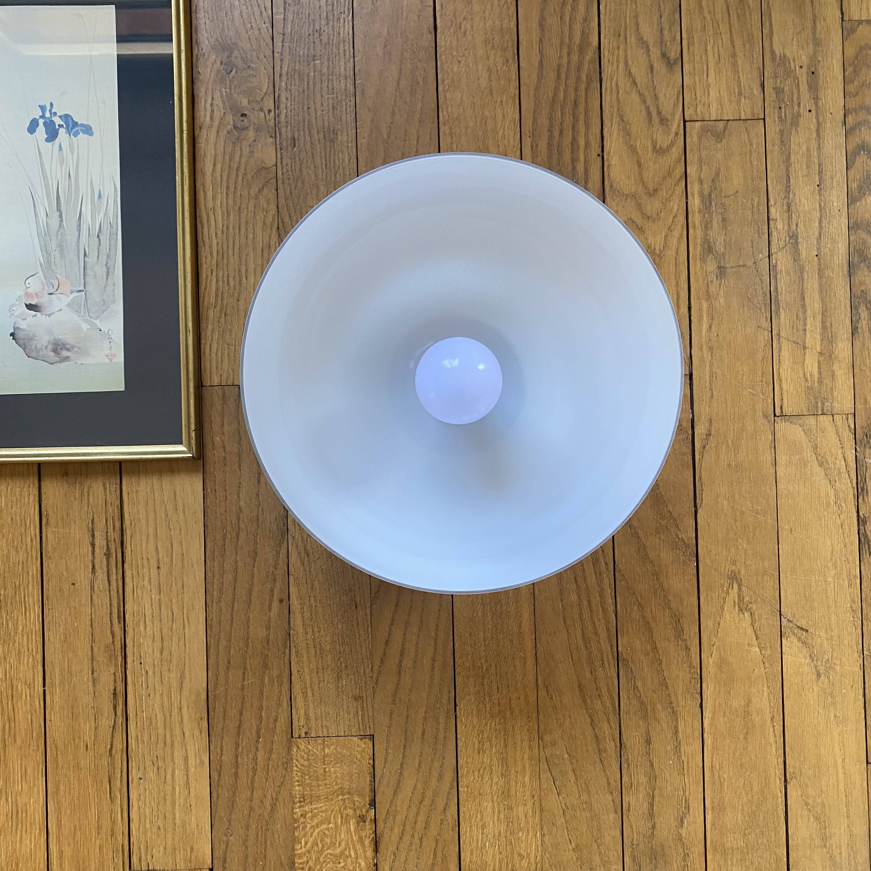 Wall light or semi-spherical ceiling light in white opal glass with a rose.