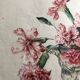 Gouache on paper - bouquet of carnations