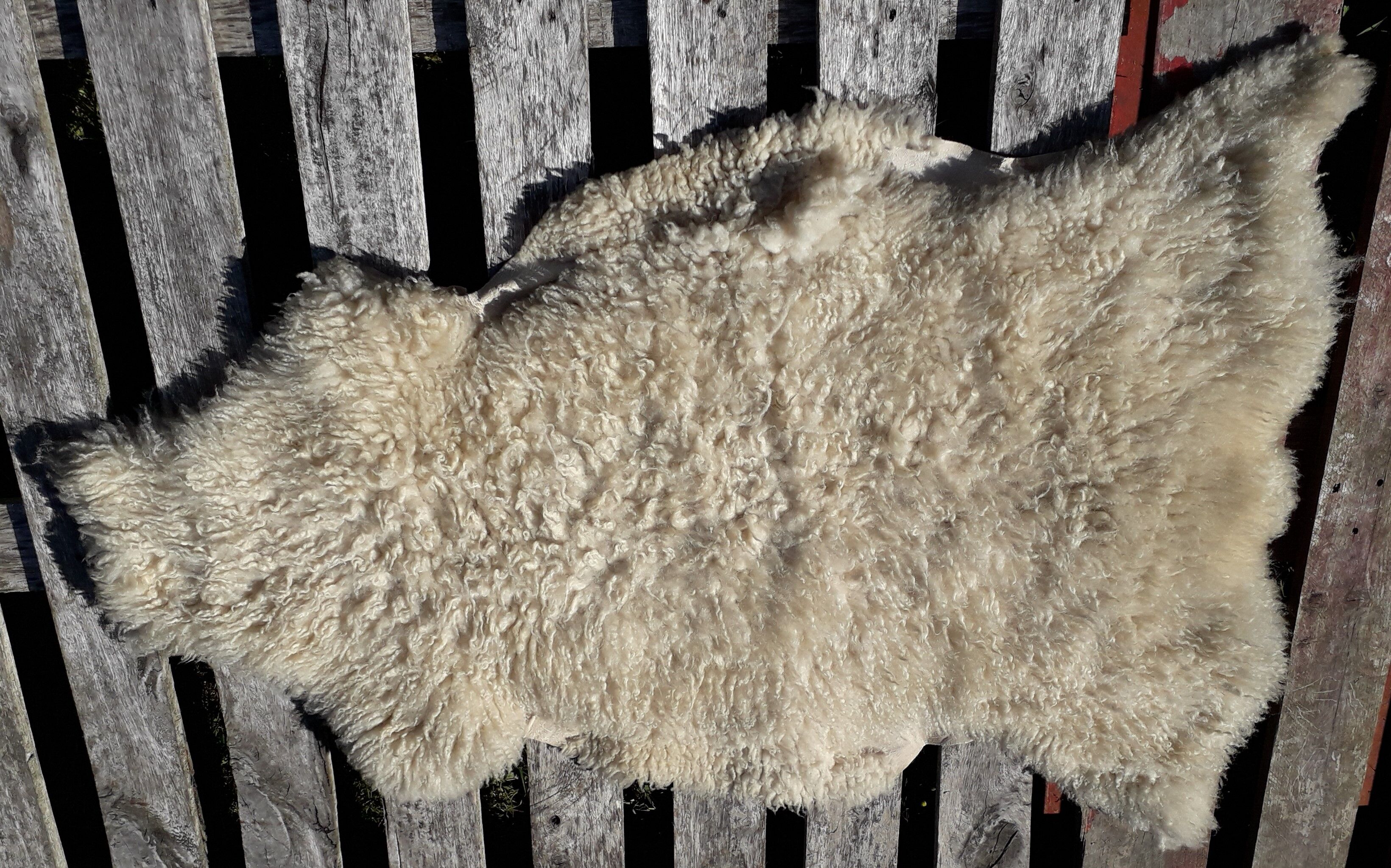 Sheepskin 64x123cm