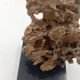 Organic Sculpture Brutalist Modernist Midcentury Gilded Bronze Casting