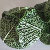 Green Cabbage Barbotine Soup Tureen