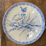 Insect plates