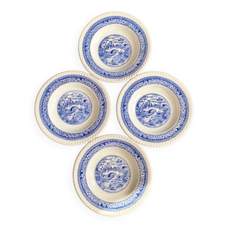 Lot assiettes bleues