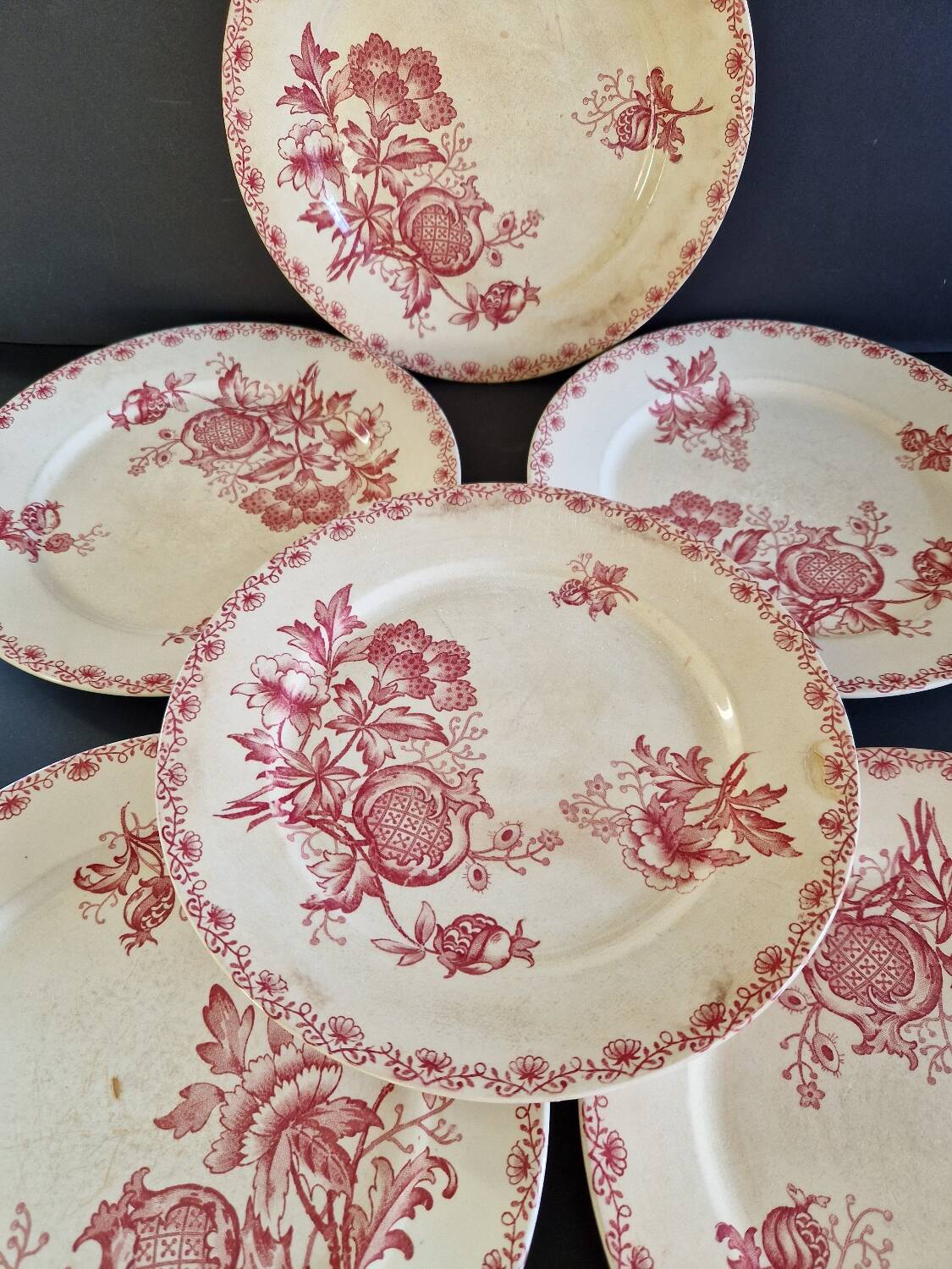Set of 6 dinner plates from Sarreguemines, Alma model