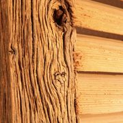 Pair of pickled wooden shutters