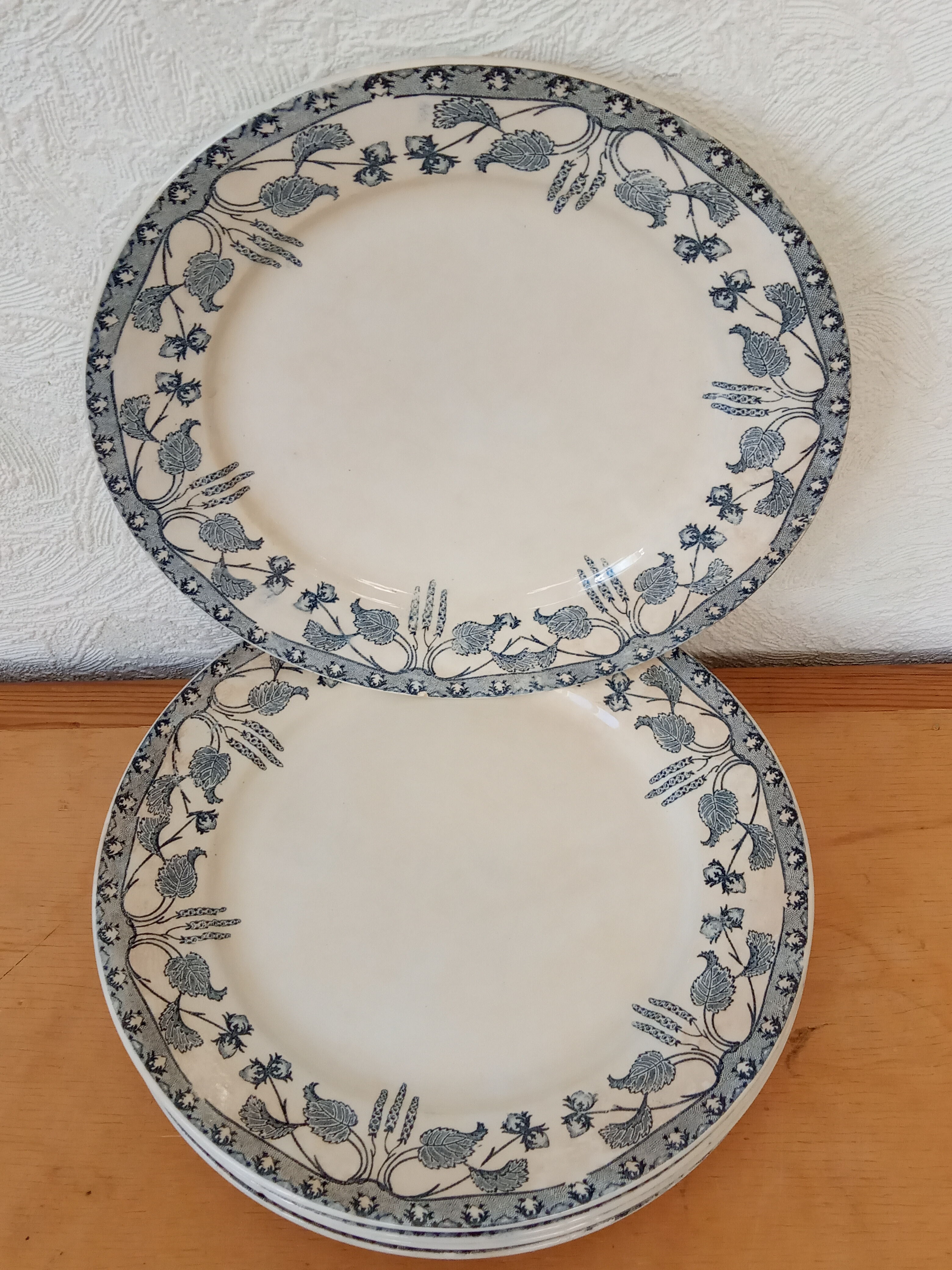 Five old plates of Sarreguemines