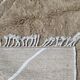 Contemporary Beige Rug - 297 x 253 cm