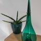 SADR green glass carafe
