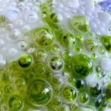 Hand-blown green art glass large chandlier