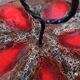 Cheese service Vallauris | Glazed volcanic red ceramic