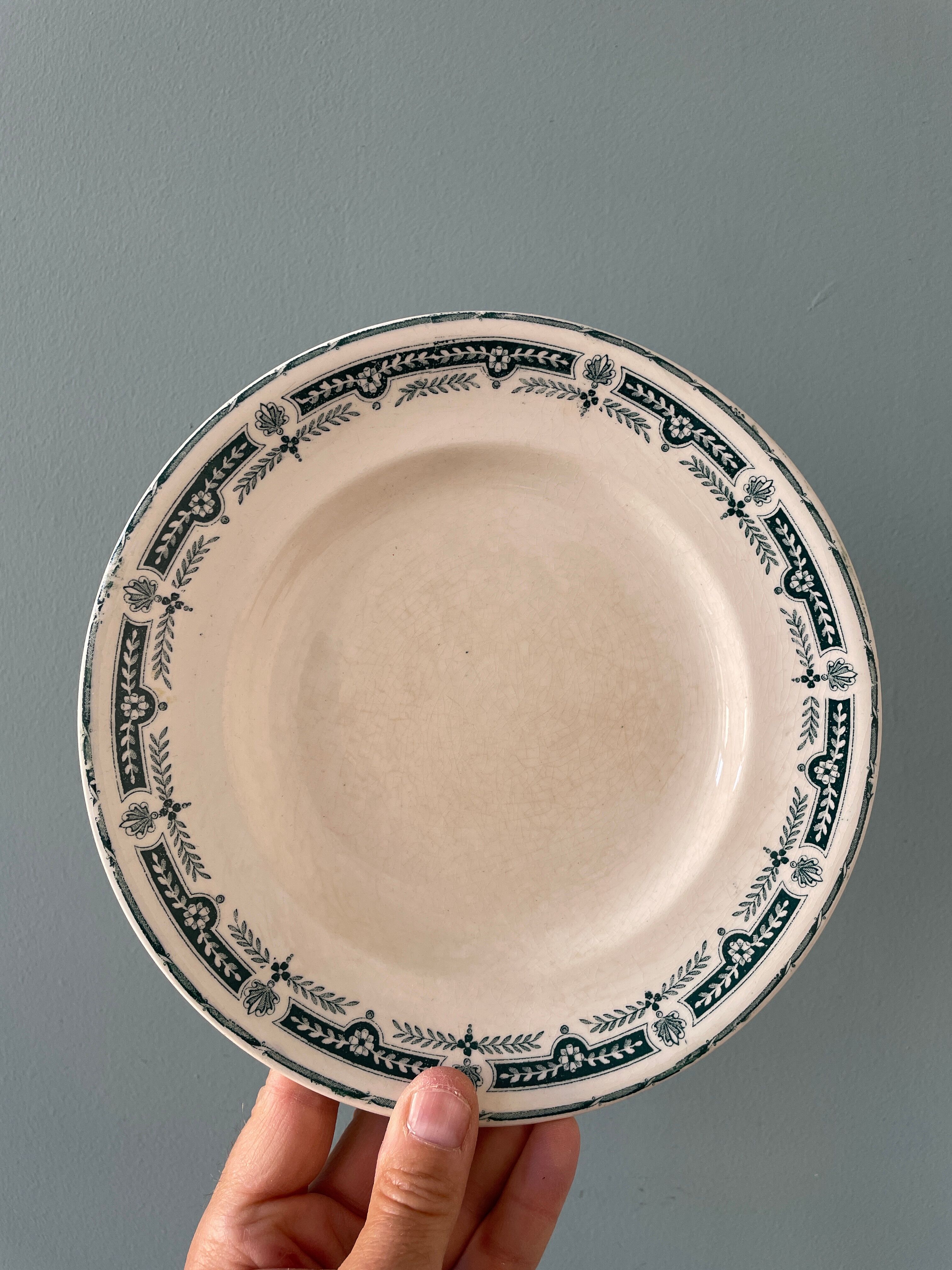 Set of 7 plates Terre de Fer XIXth mismatched