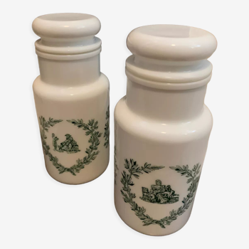 Pair of apothecary pots