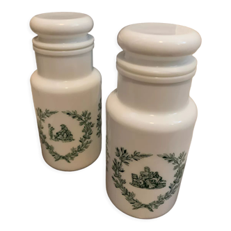 Pair of apothecary pots