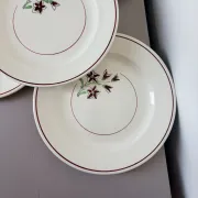 4 vintage flat plates from the Salins factory 210638
