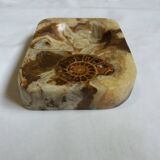 Marble pocket ashtray with fossil ammonite