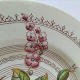 Vintage English Crown Ducal plate - floral decoration