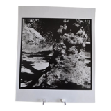 Anonymous silver photo tree circa 1970