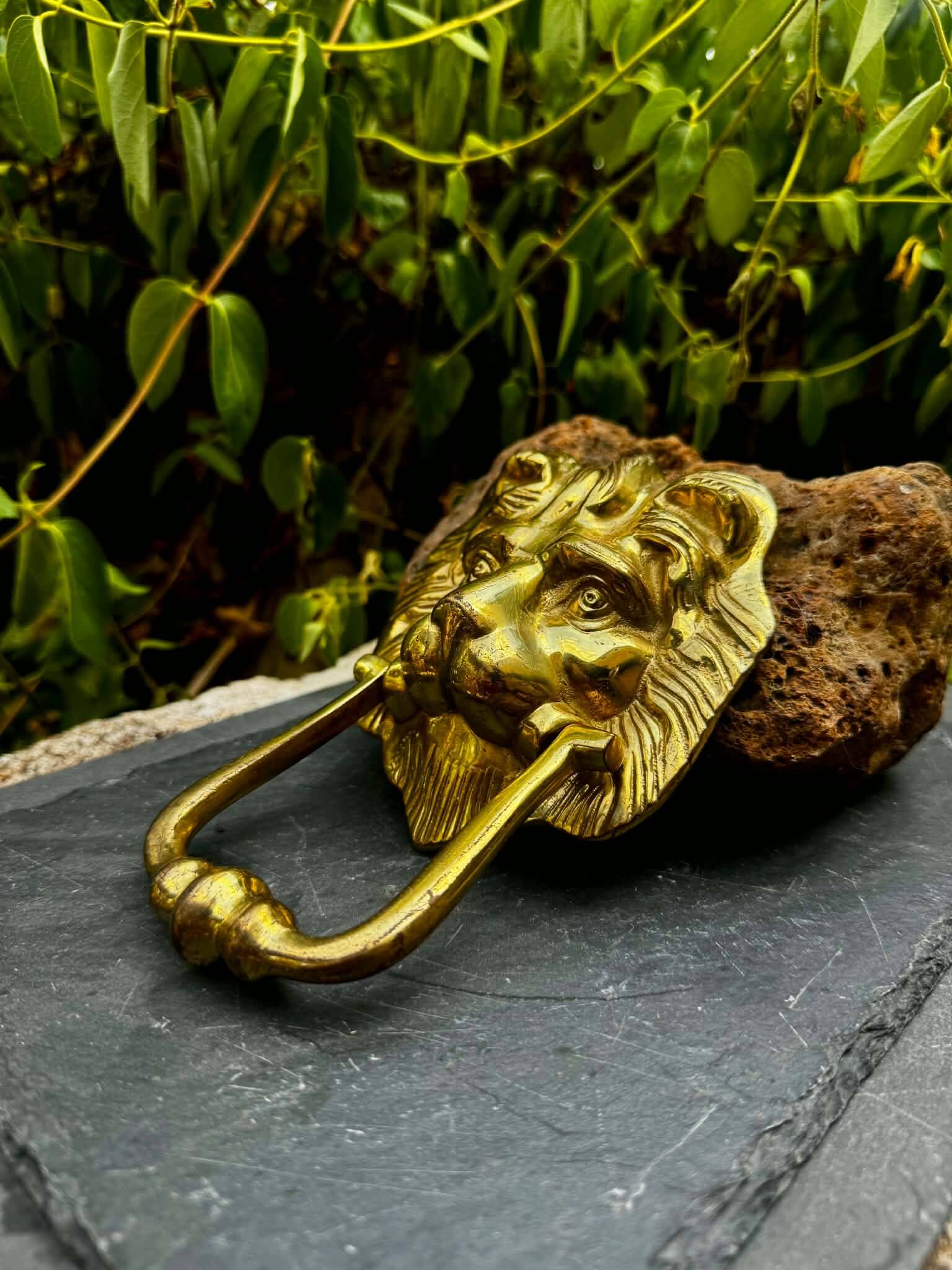 Large lion door knocker in solid brass Art Nouveau