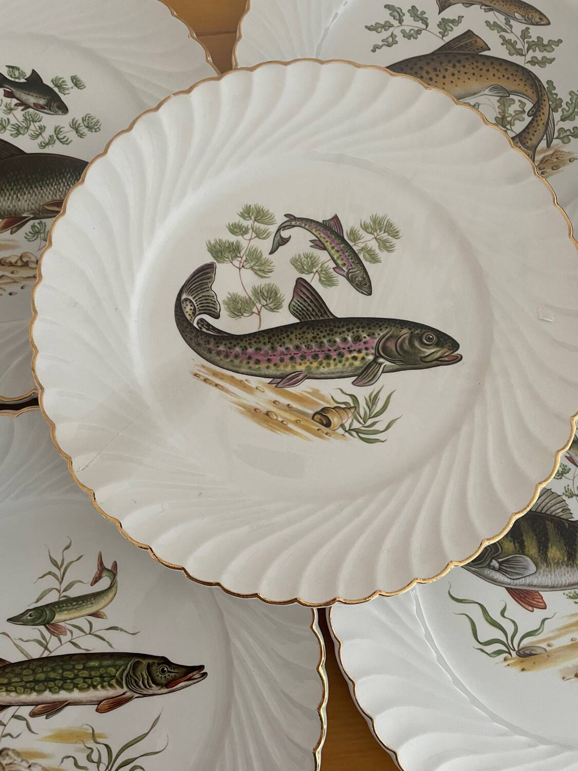 Luneville dinner plates
