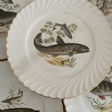 Assiettes plates luneville