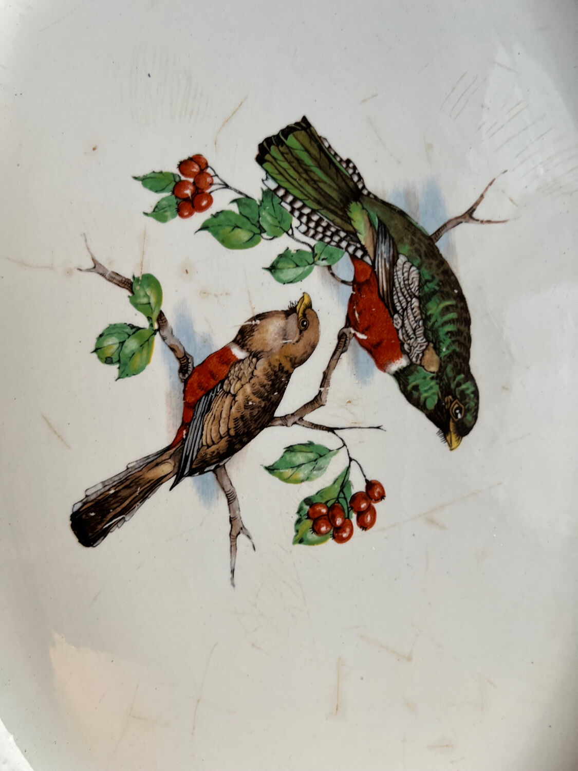 Old oval dish in Badonviller earthenware, decorated with Les Oiseaux.