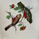 Old oval dish in Badonviller earthenware, decorated with Les Oiseaux.