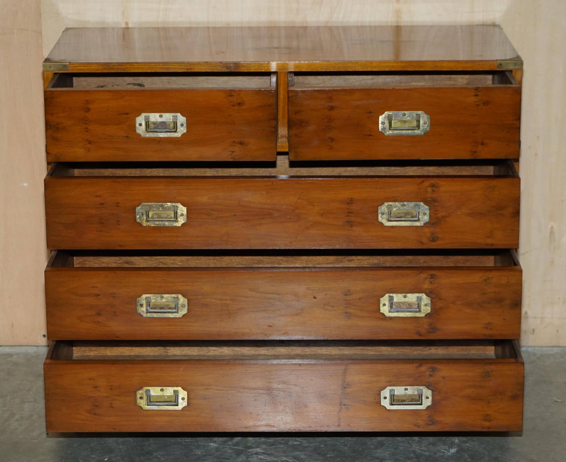 Vintage military campaign chest of drawers in burr yew wood.