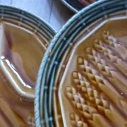 5 asparagus plates, 1 Sarreguemines dish L1 / 200106