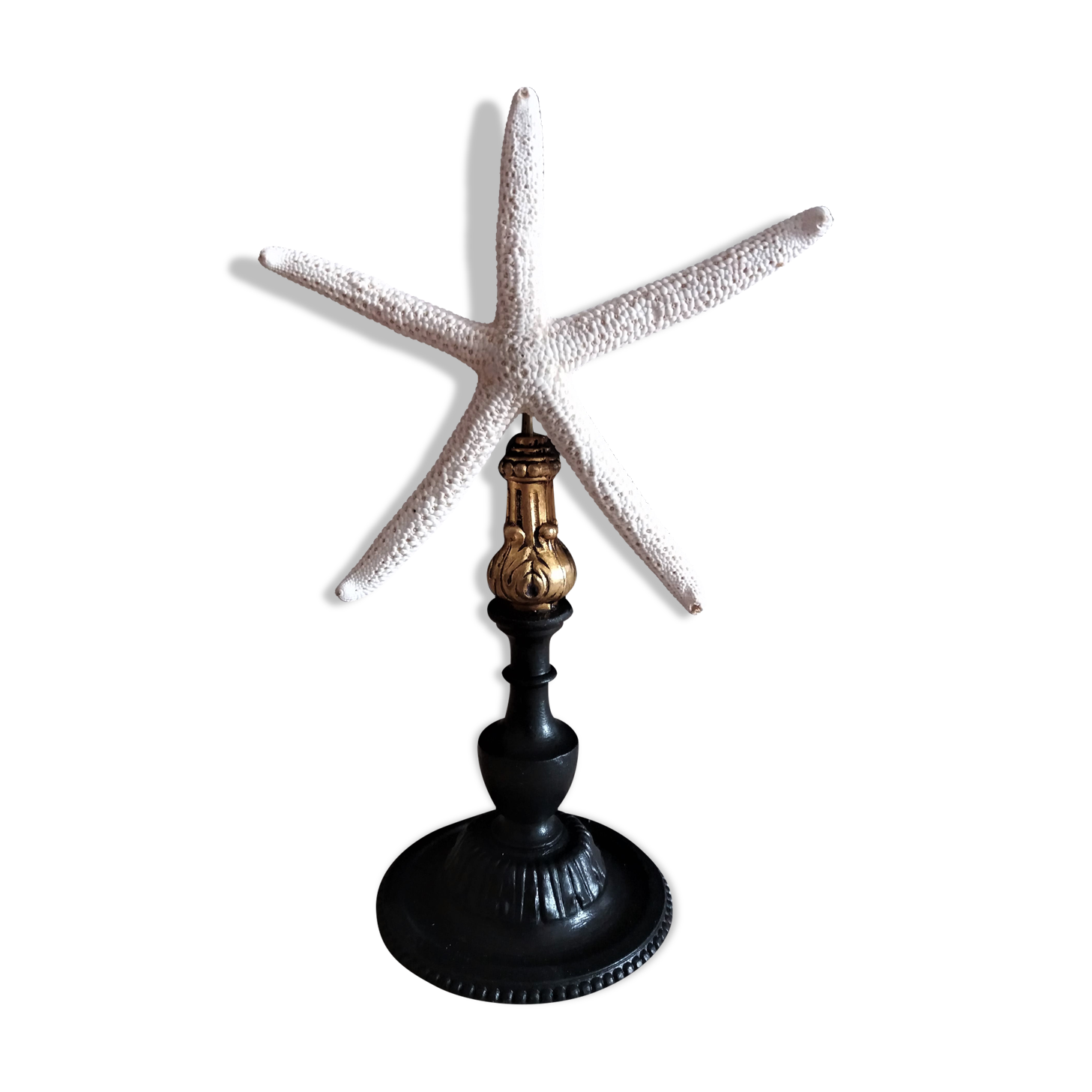 Sea star linckia laevigata