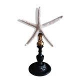 Sea star linckia laevigata