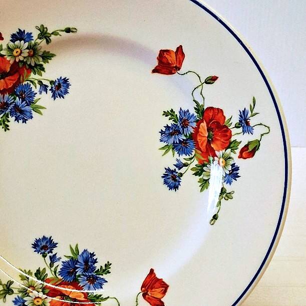 6 flat plates from Salins les Bains, "Poppies" pattern, in very good condition