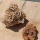 Roses des sables vintages