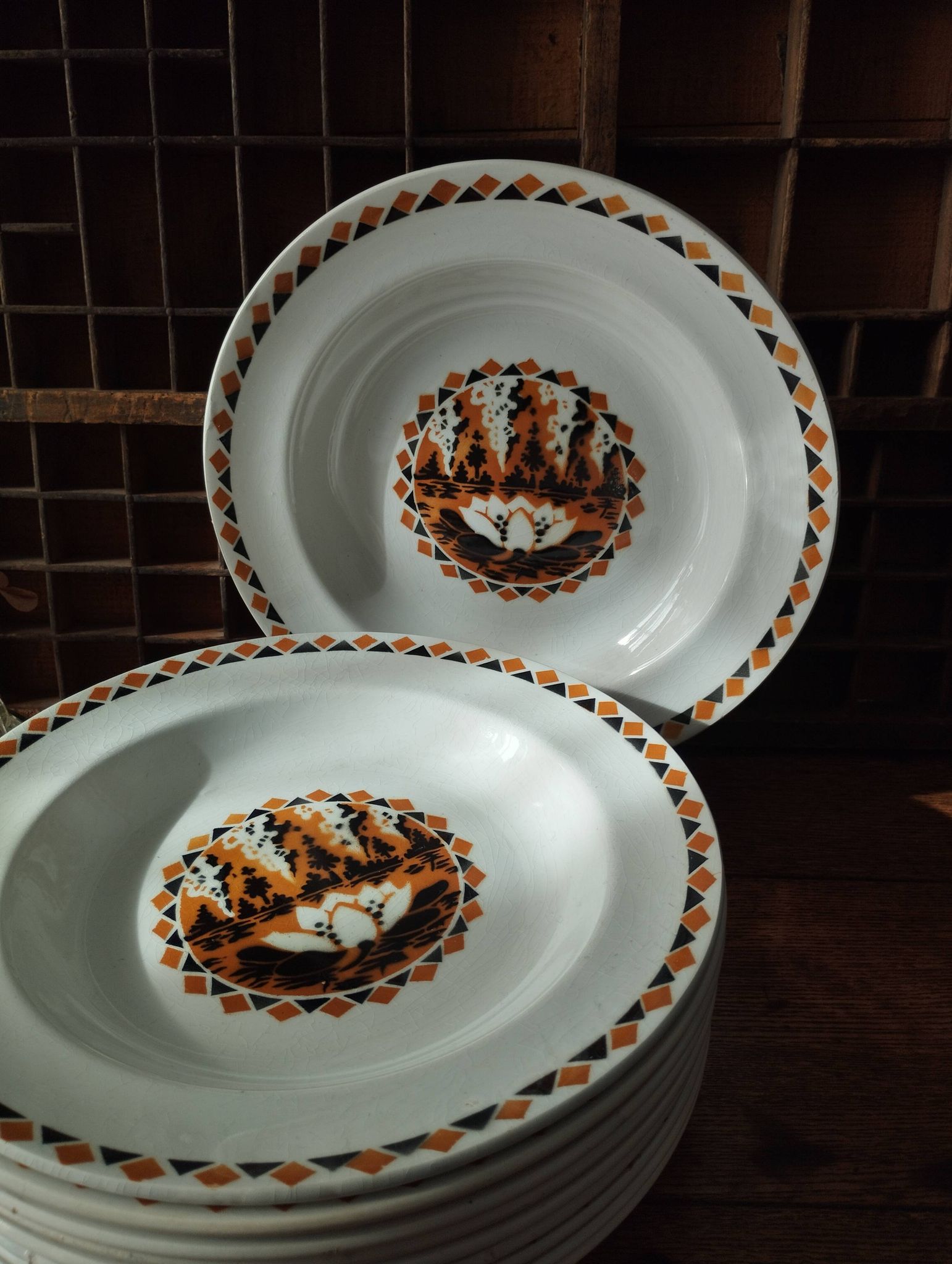 Set of 10 large ironstone Art Deco plates Saint-Amand Water Lily