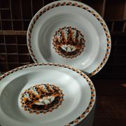 Set of 10 large ironstone Art Deco plates Saint-Amand Water Lily