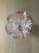 Vide poche coupe en verre