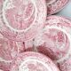 14 English flat plates