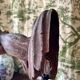 Rare and imposing wall light, torchiere mid-20th century