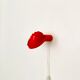 Metal Wall Lamp by E.R. Nele for Temde