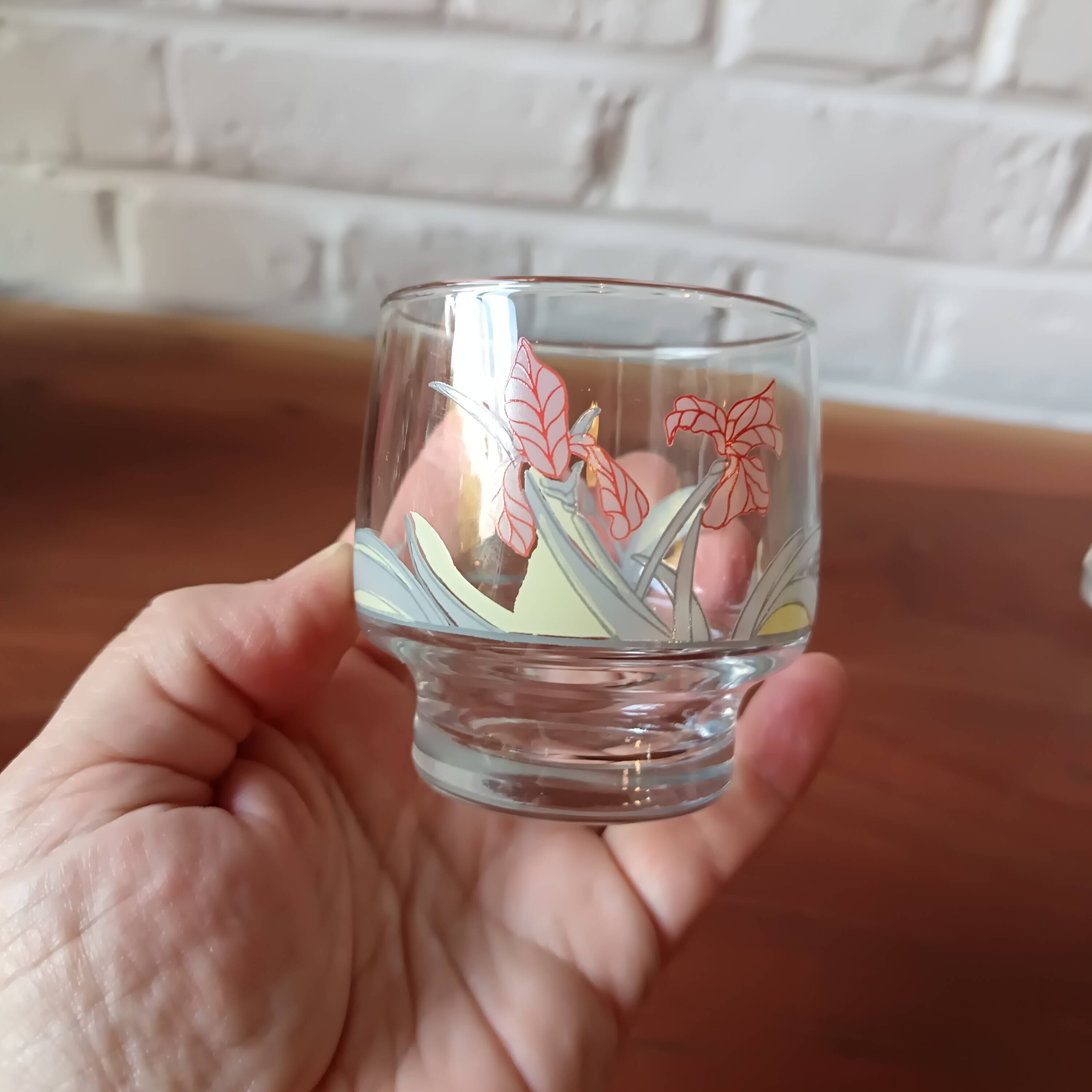 Luminarc France Diana vintage water glasses
