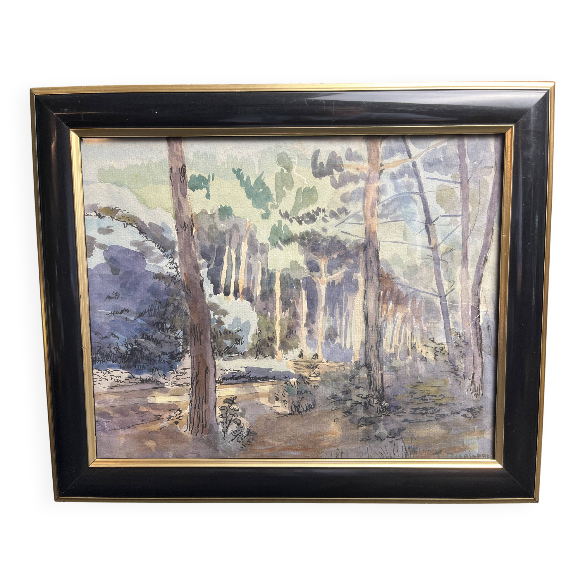 Despierre, Watercolor landscape undergrowth signed frame 20th century