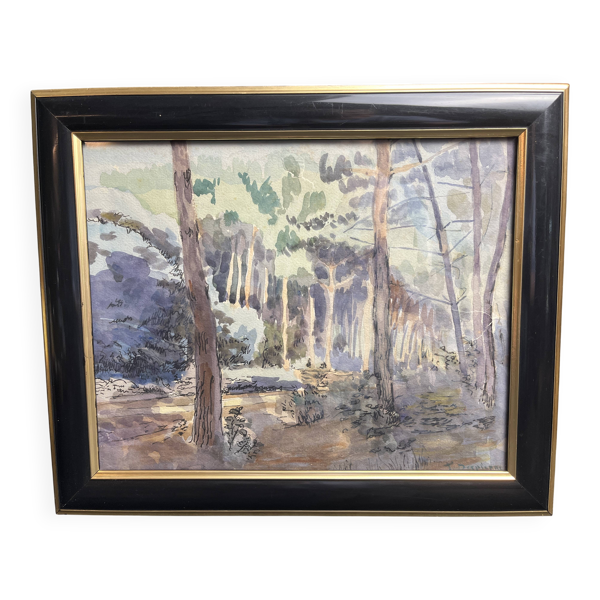 Despierre, Aquarelle paysage sous-bois signée encadrement XXème