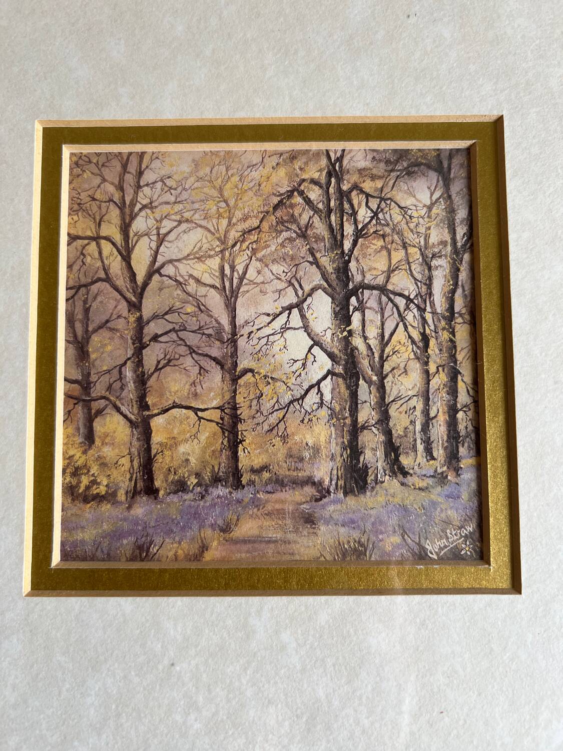 John Straw's numbered painting