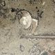 Round plate, fossil marble catch-all 35cm