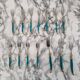 Laguiole cutlery set